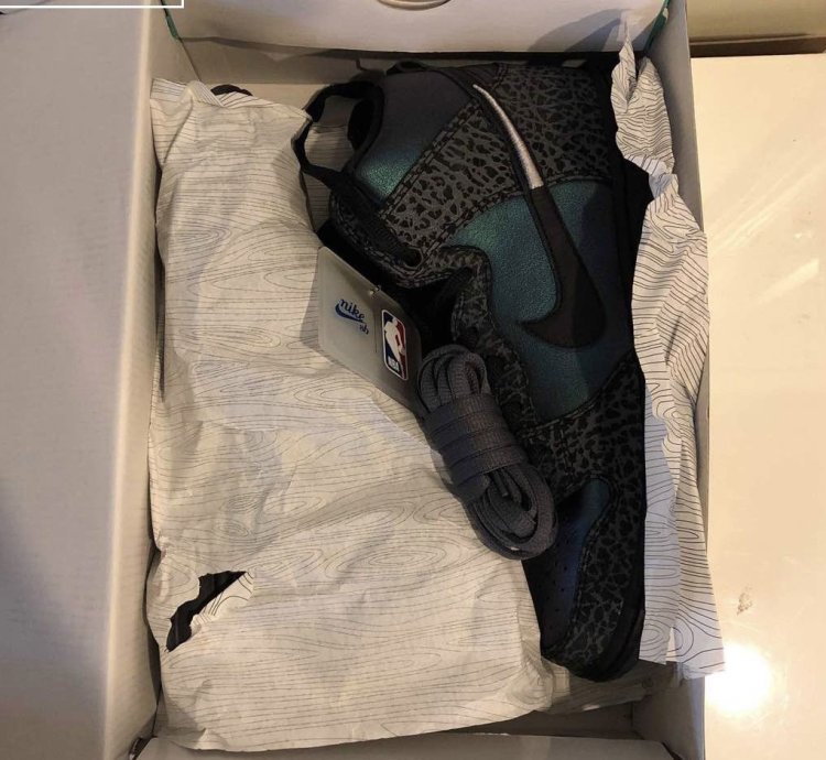 Nike Sb Dunk High Black Sheep Hornet