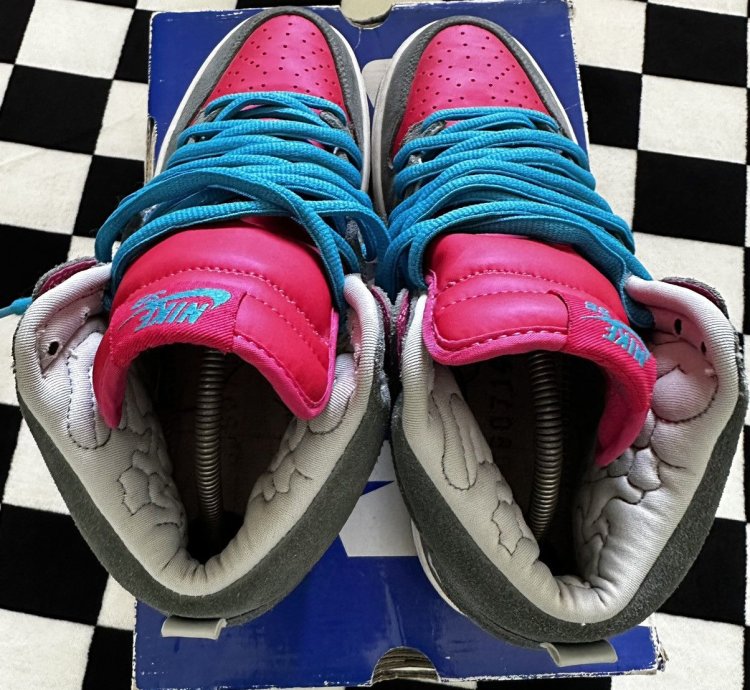 Nike Sb Dunk High Brain Wreck