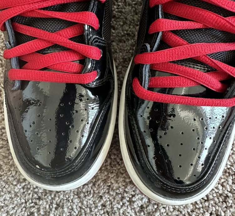 Nike Sb Dunk High Bred