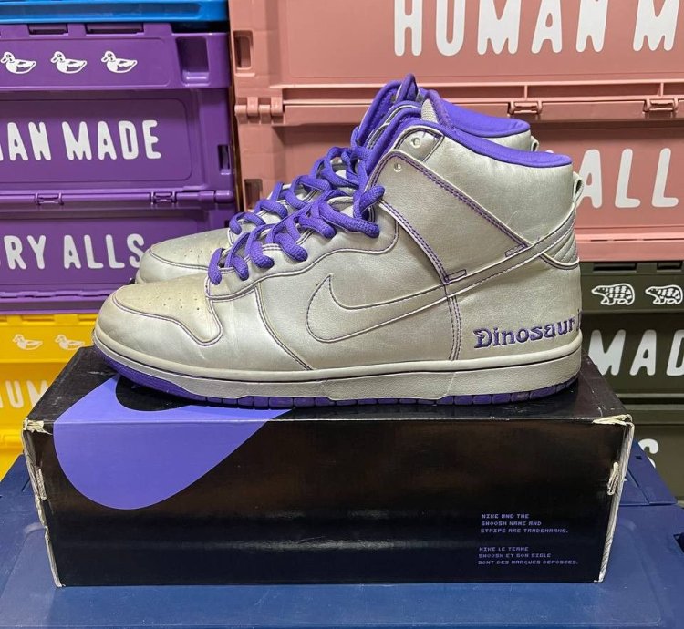 Nike Sb Dunk High Dinosaur Jr
