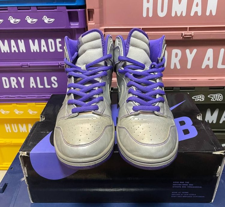 Nike Sb Dunk High Dinosaur Jr