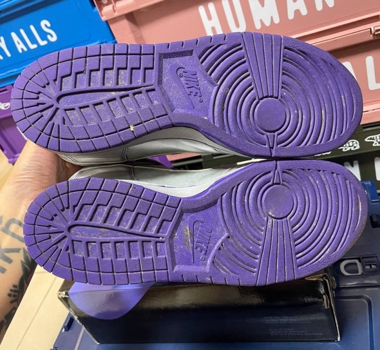 Nike Sb Dunk High Dinosaur Jr