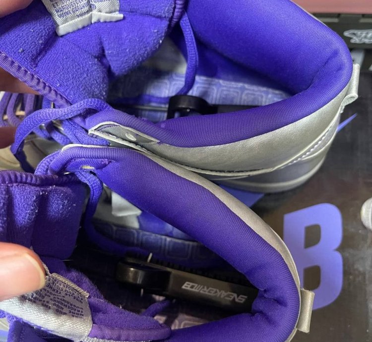 Nike Sb Dunk High Dinosaur Jr