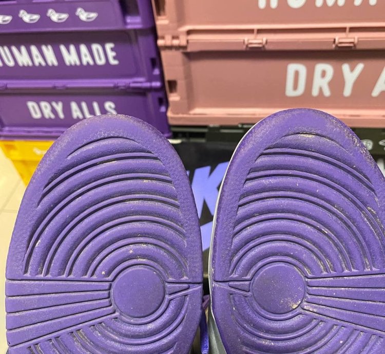 Nike Sb Dunk High Dinosaur Jr