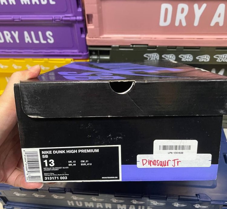 Nike Sb Dunk High Dinosaur Jr