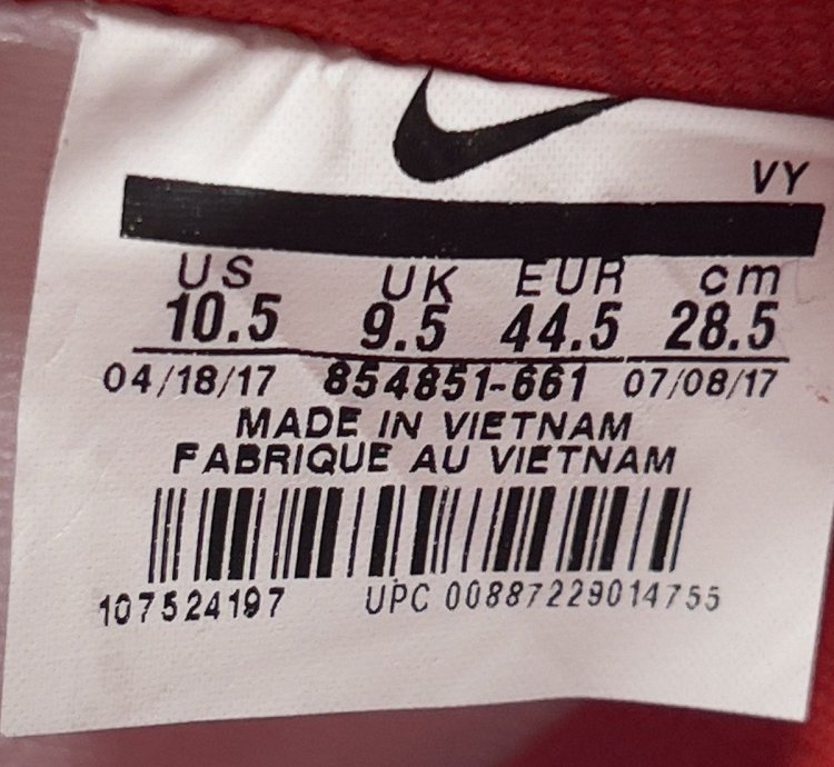 Nike Sb Dunk High Dream Team