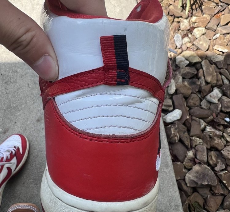 Nike Sb Dunk High Future Court Red
