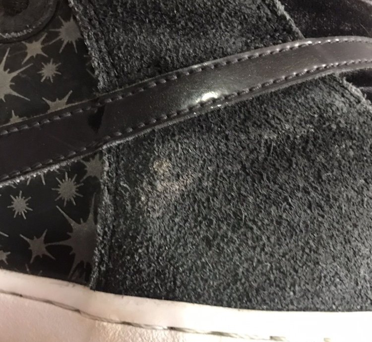 Nike Sb Dunk High Paparazzi