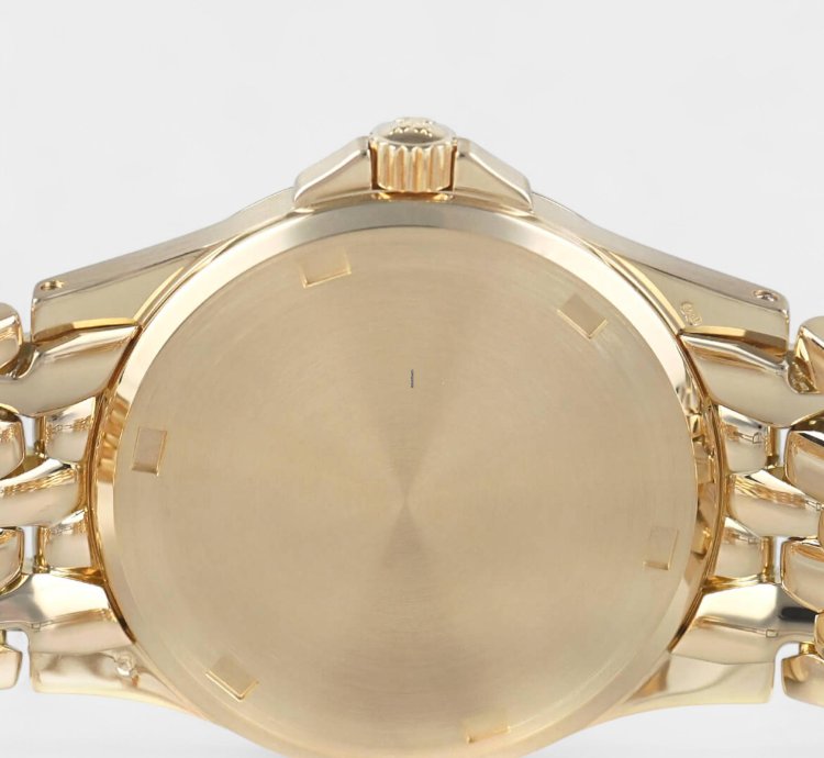 Patek Philippe Neptune Yellow Gold Silver Automatic Date 36mm Vintage 5080 1j