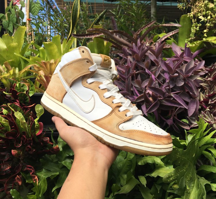 Nike Sb Dunk High Premier Win Some Lose Some