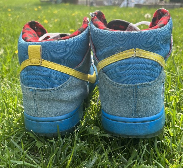 Nike Sb Dunk High Premium Familia 2015