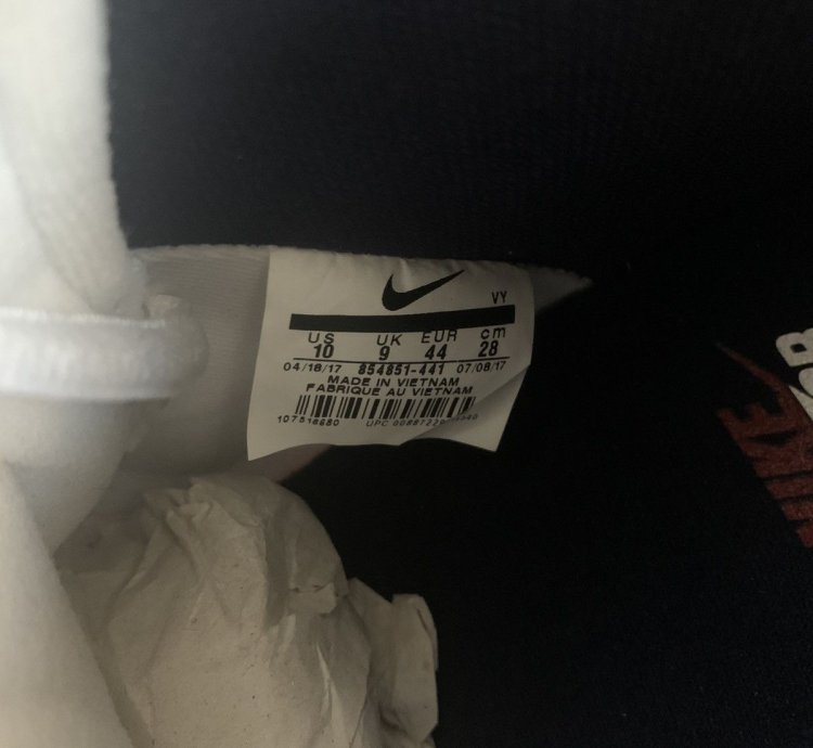 Nike Sb Dunk High Pro Dream Team