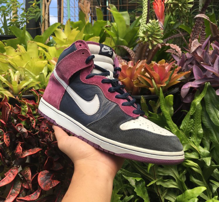 Nike Sb Dunk High Pro Un-heavens Gate