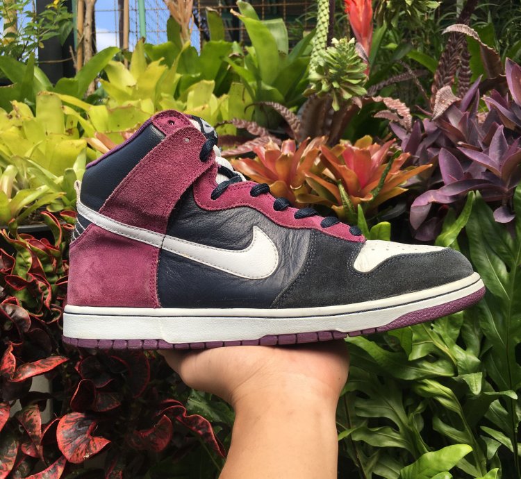 Nike Sb Dunk High Pro Un-heavens Gate