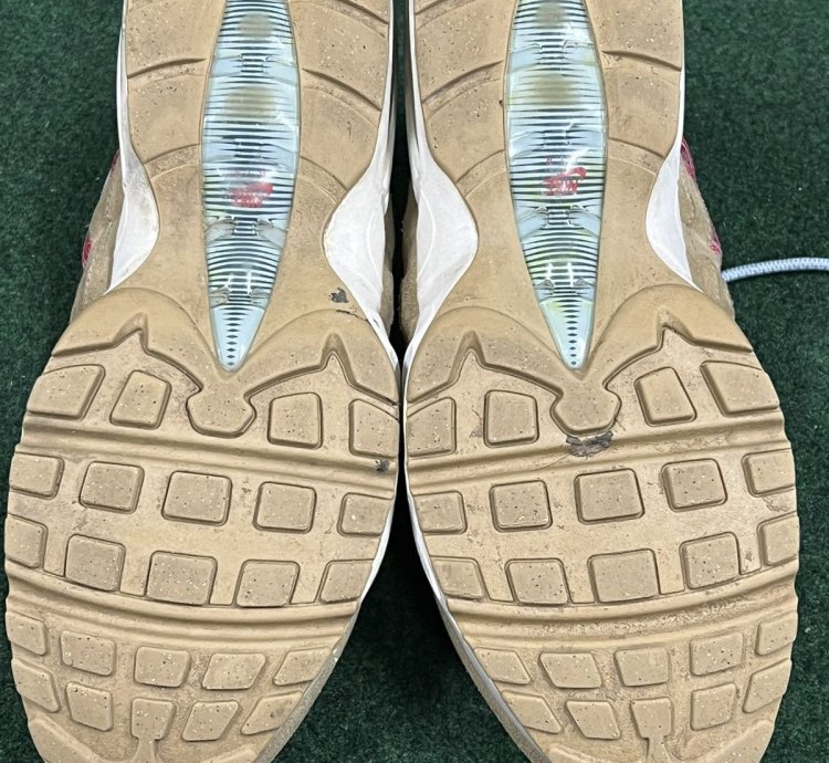 2019 Nike Air Max 95 Wild West