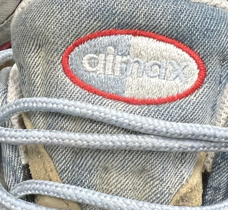 2019 Nike Air Max 95 Wild West