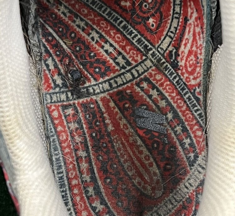 2019 Nike Air Max 95 Wild West