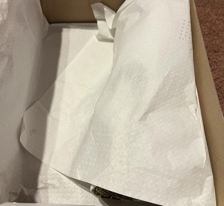 2019 Nike Men Air Force 1 Ivory Snake Ao1635-100 Us10 5