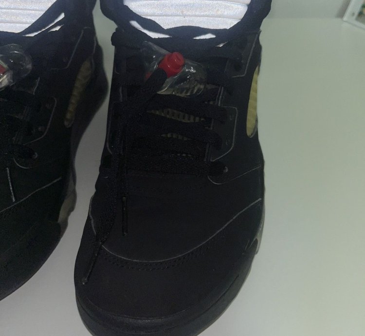 Jordan 5 Metallic Silver