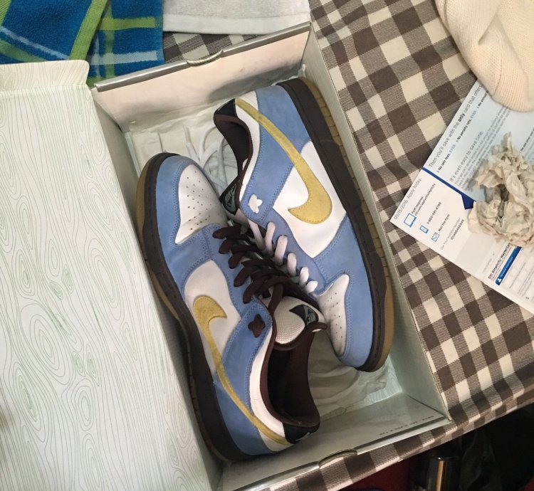 Nike Sb Dunk Homer