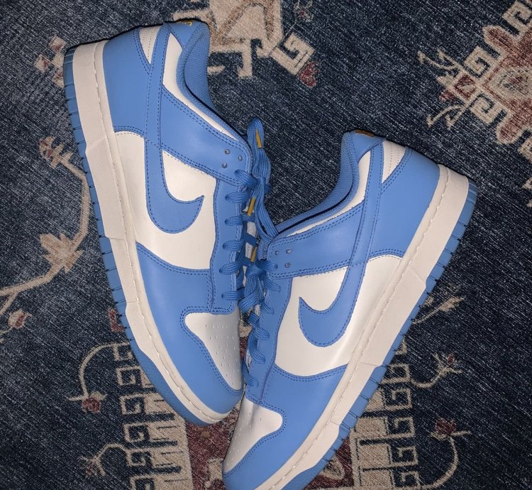 2021 Nike Dunk Low Coast
