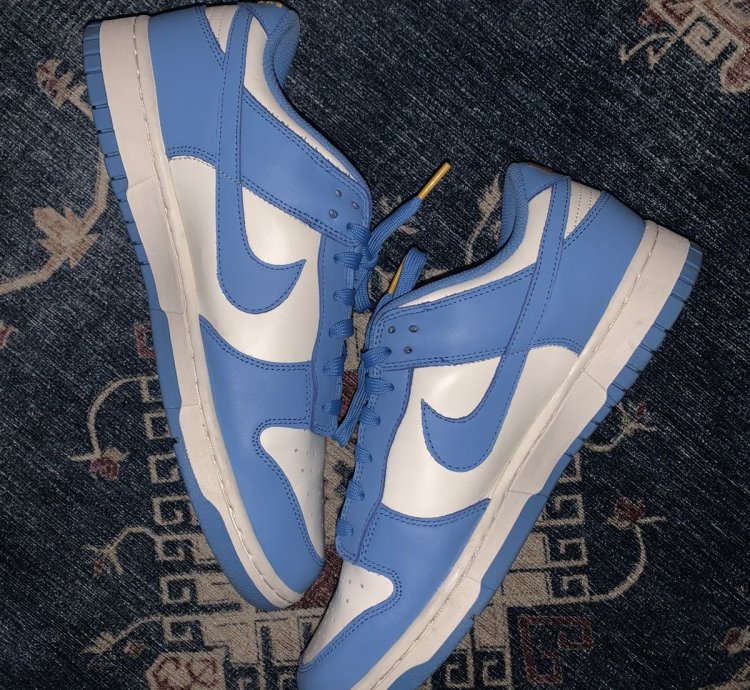 2021 Nike Dunk Low Coast