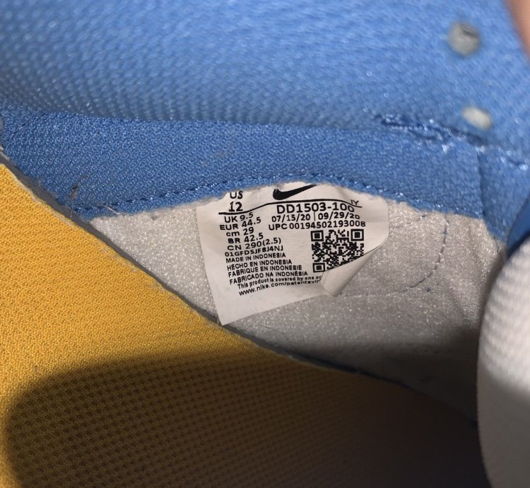 2021 Nike Dunk Low Coast