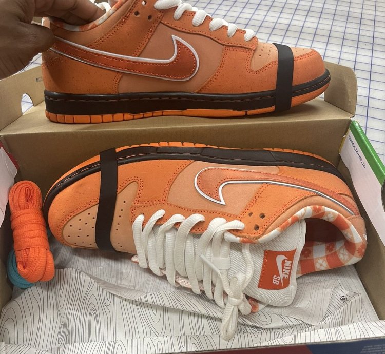 Nike Sb Dunk Lobsters