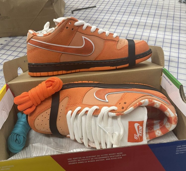 Nike Sb Dunk Lobsters