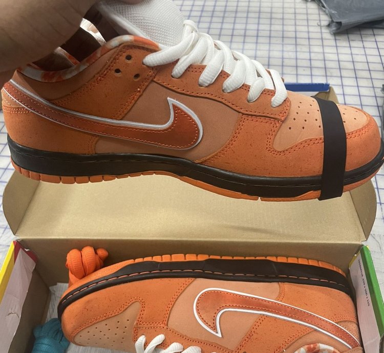 Nike Sb Dunk Lobsters