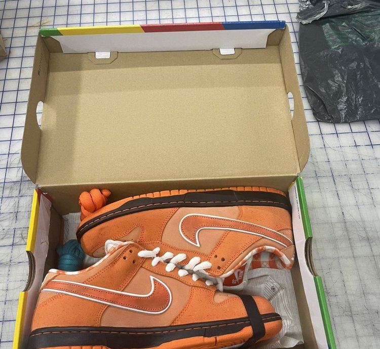 Nike Sb Dunk Lobsters