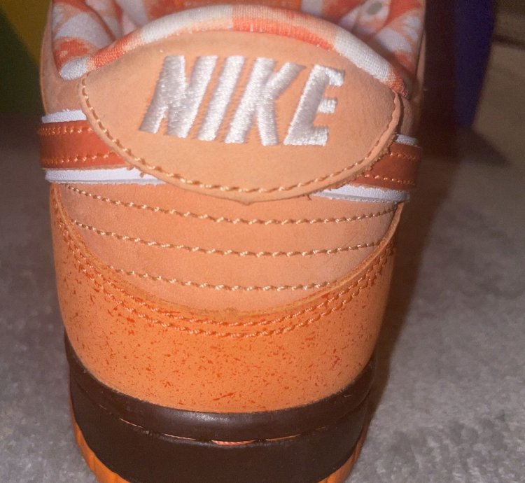 Nike Sb Dunk Lobsters