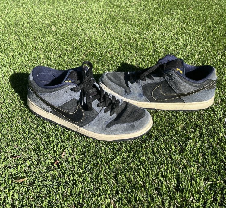 Nike Sb Dunk Low
