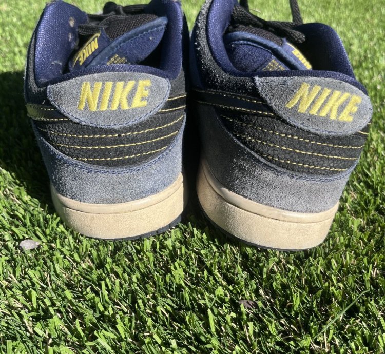 Nike Sb Dunk Low