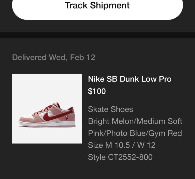 Nike Sb Dunk Low
