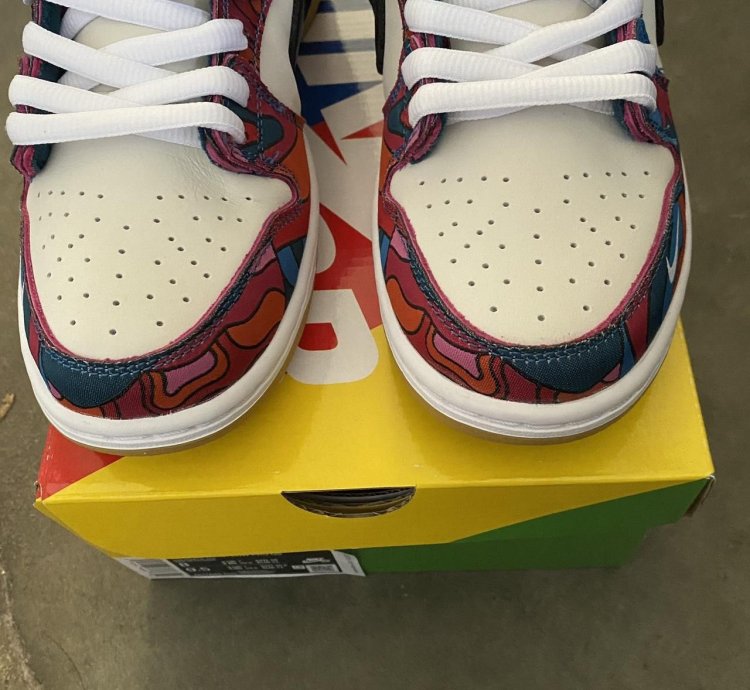 2021 Nike Parra Dunk Sb Sz 8m