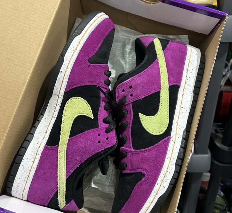 Nike Sb Dunk Low Acg 10 5