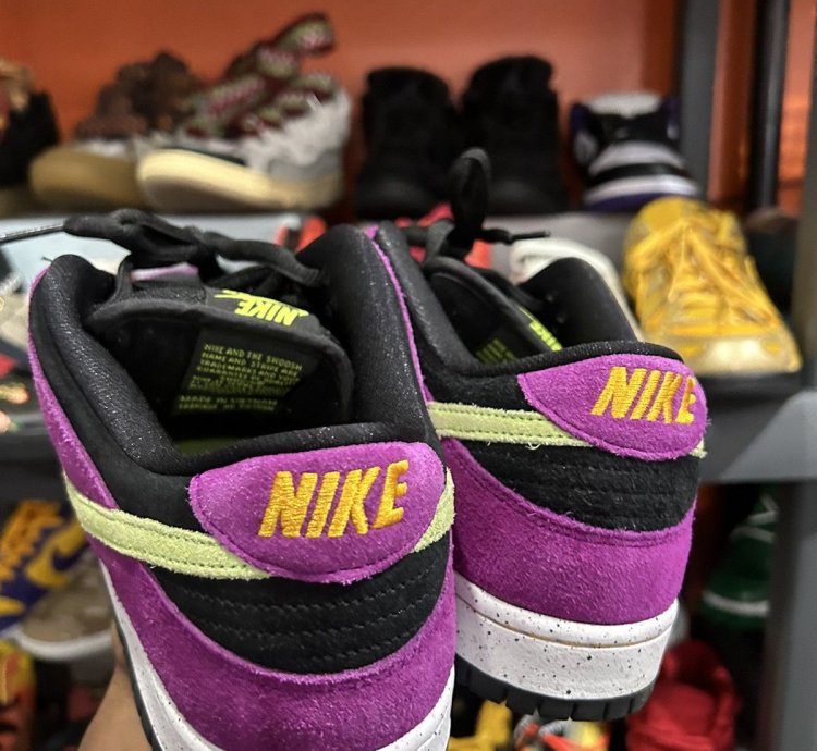 Nike Sb Dunk Low Acg 10 5
