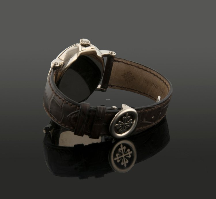 Patek Philippe Perpetual Calendar 5159-perpetual Calendar Retrograde Extract Of Archives