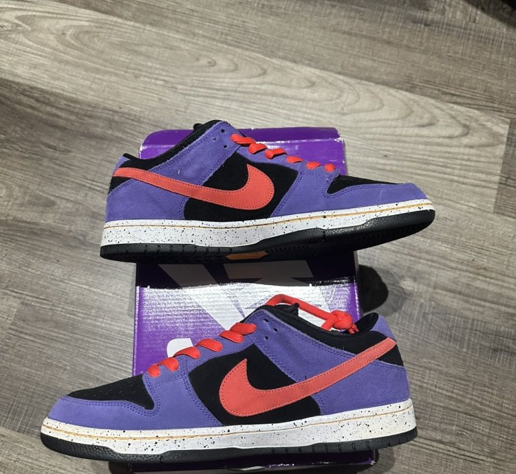 Nike Sb Dunk Low Acg Terra Varsity Purple Size 12 Bq6817-008