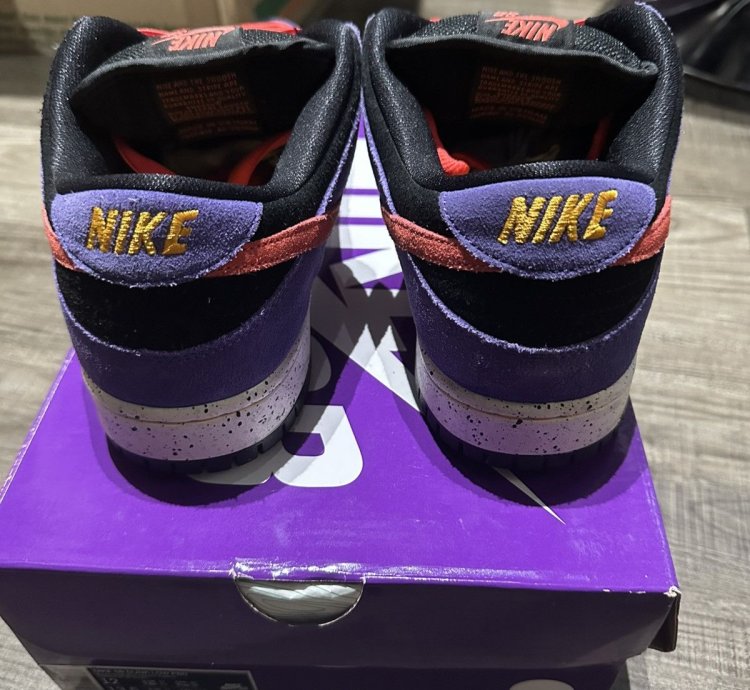 Nike Sb Dunk Low Acg Terra Varsity Purple Size 12 Bq6817-008