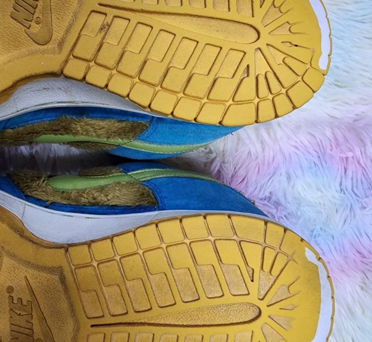 Nike Sb Dunk Low Baby Bear