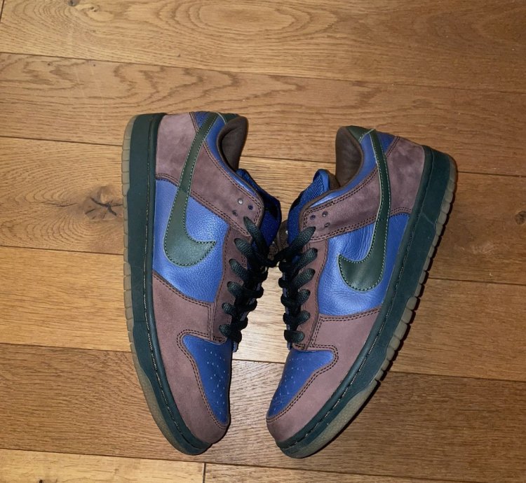 Nike Sb Dunk Low Barf