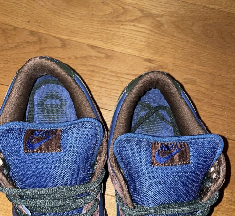 Nike Sb Dunk Low Barf