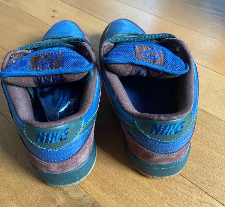 Nike Sb Dunk Low Barf