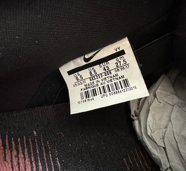 Nike Sb Dunk Low Black Pigeon