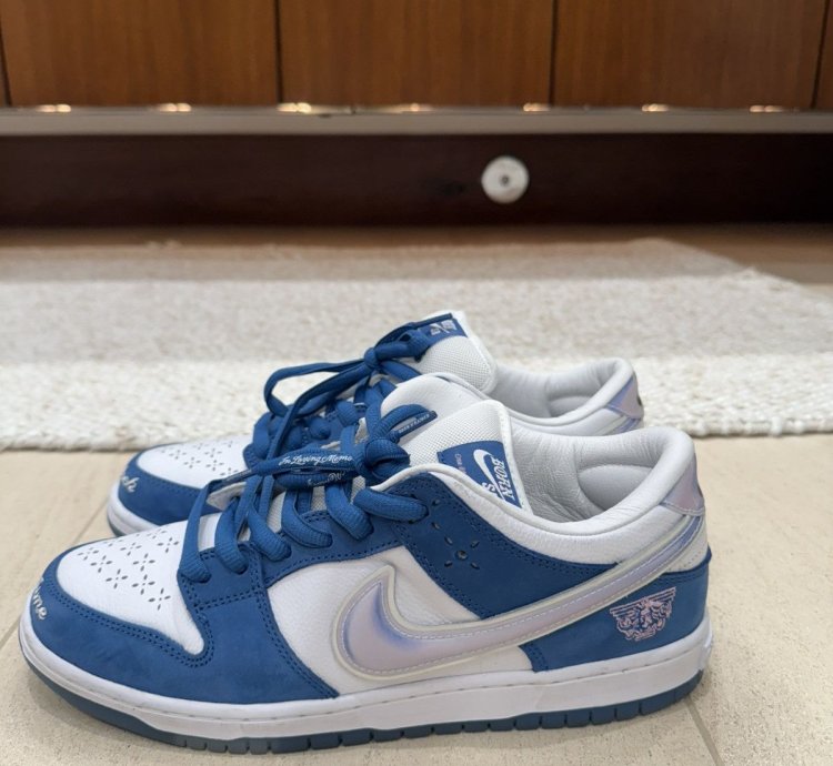 Nike Sb Dunk Low Born Raised One Block At Time