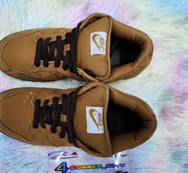 Nike Sb Dunk Low Carhartt