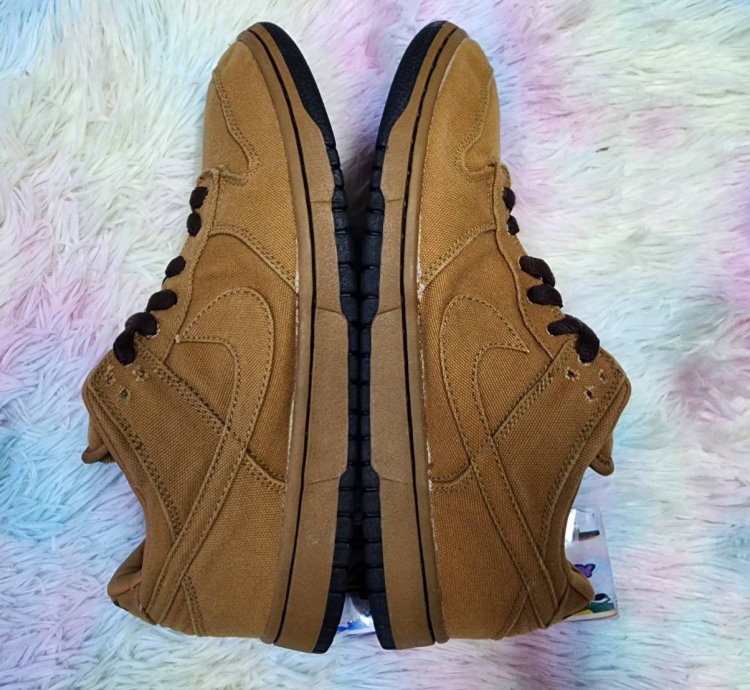 Nike Sb Dunk Low Carhartt