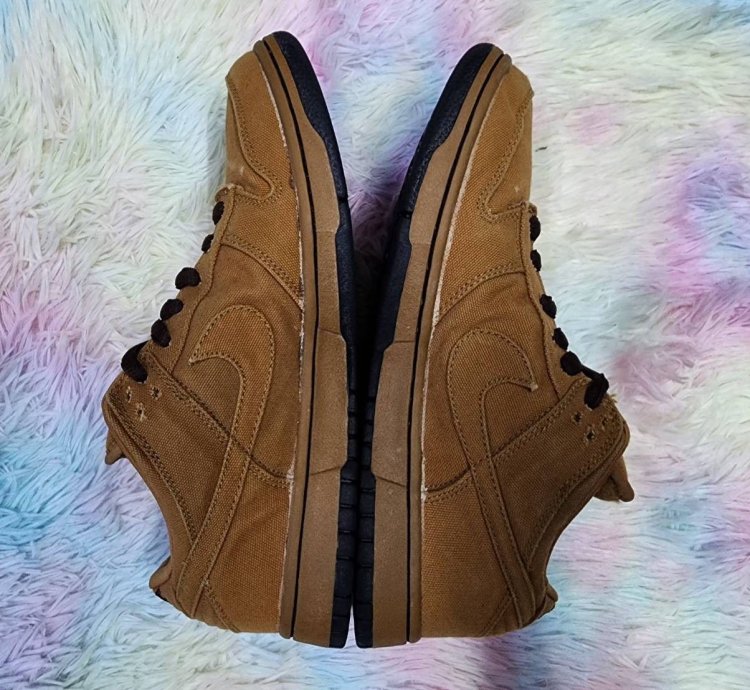 Nike Sb Dunk Low Carhartt